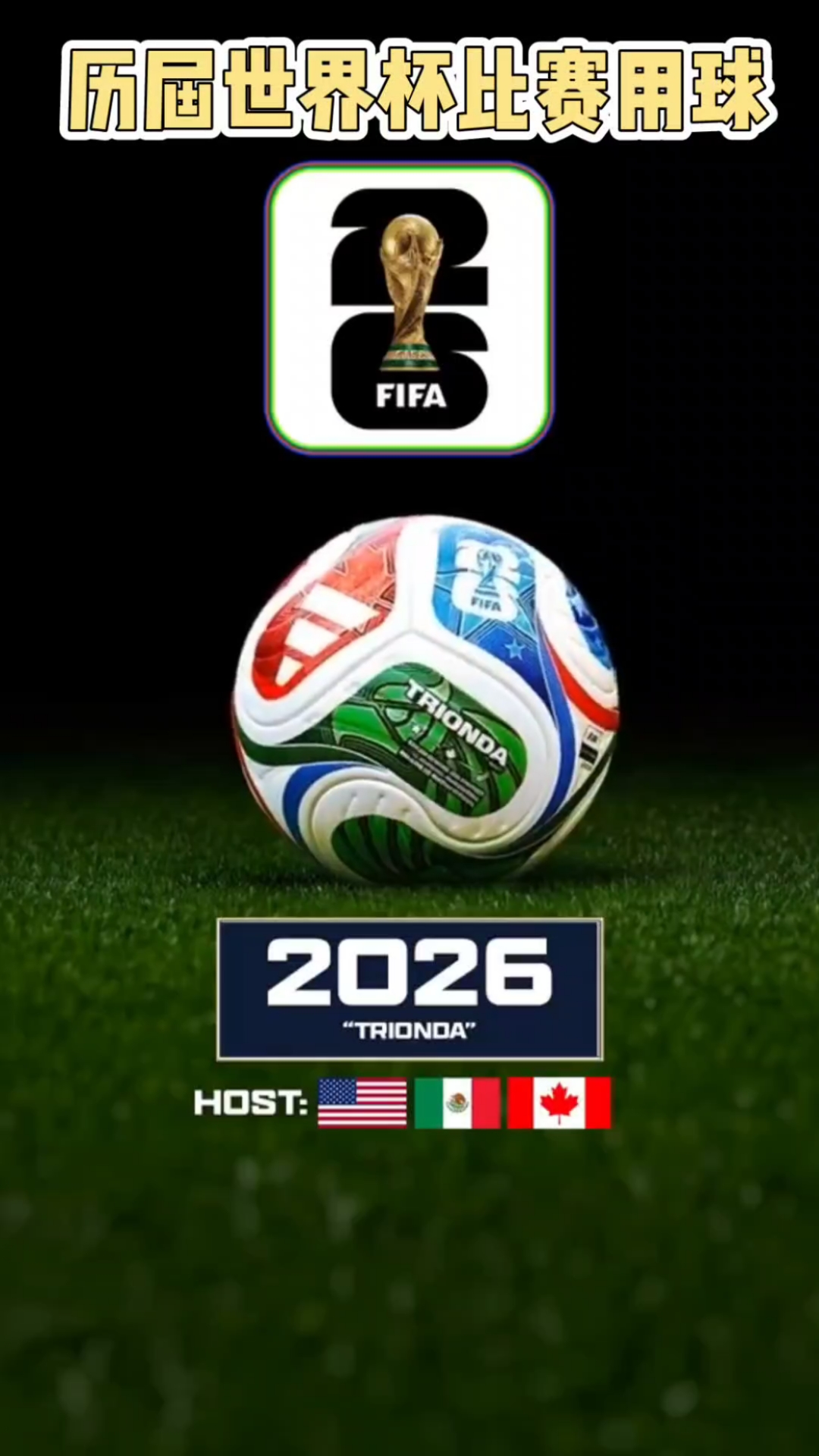 20260 20260